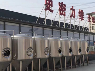 蓝山精酿啤酒设备厂—市场规模与跨界新需求